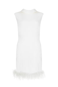 Thumbnail for Ivory Mini Dress