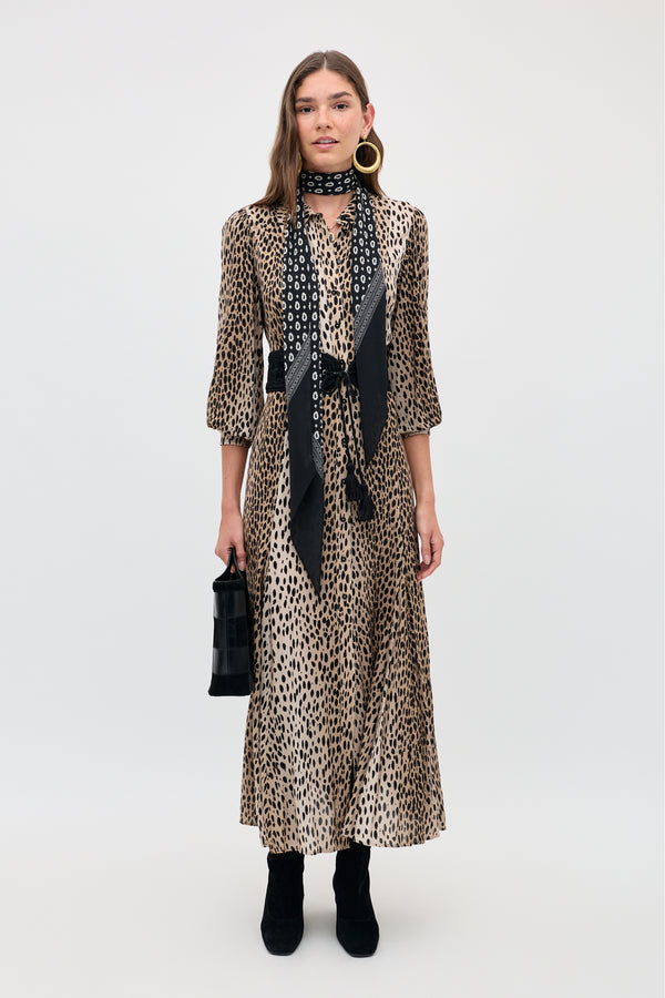 antelope royal shirt dress courthousecouture on LTK