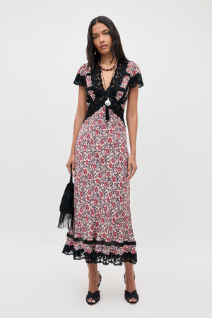 Martina - Sarasa Rose Red