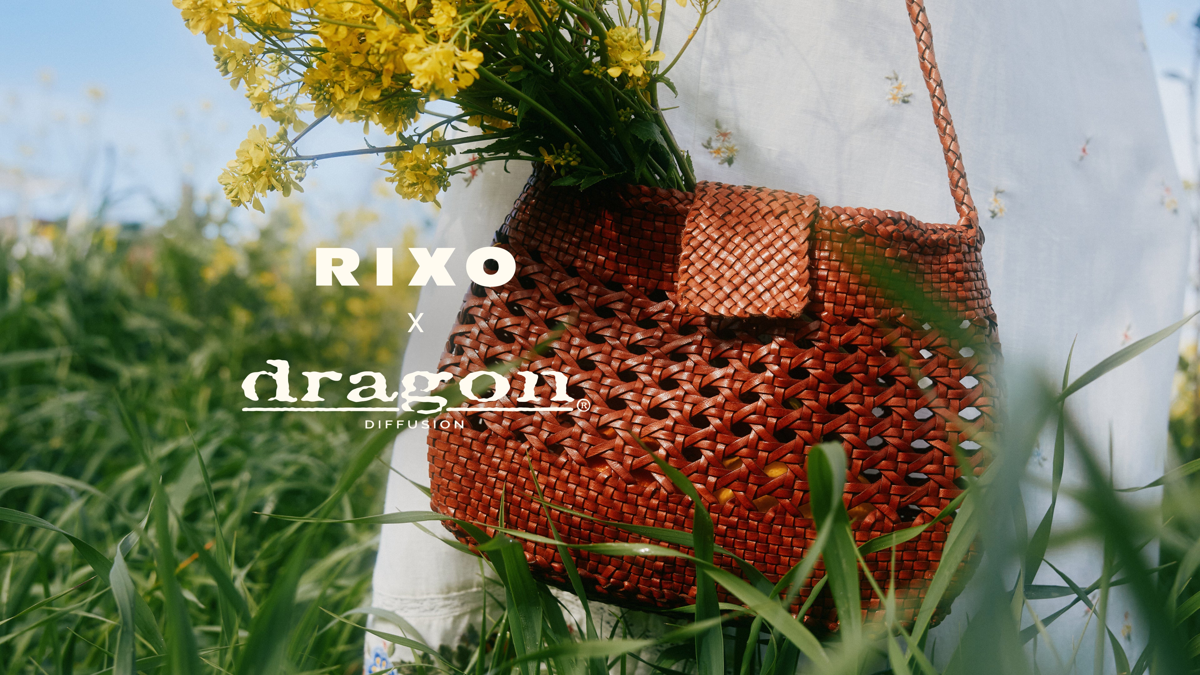 RIXO x Dragon Diffusion | RIXO Worldwide ⋆