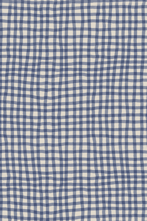 Seraphina - Painted Check Soft Blue