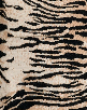 Pattern Image