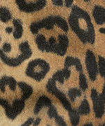 Pattern Image