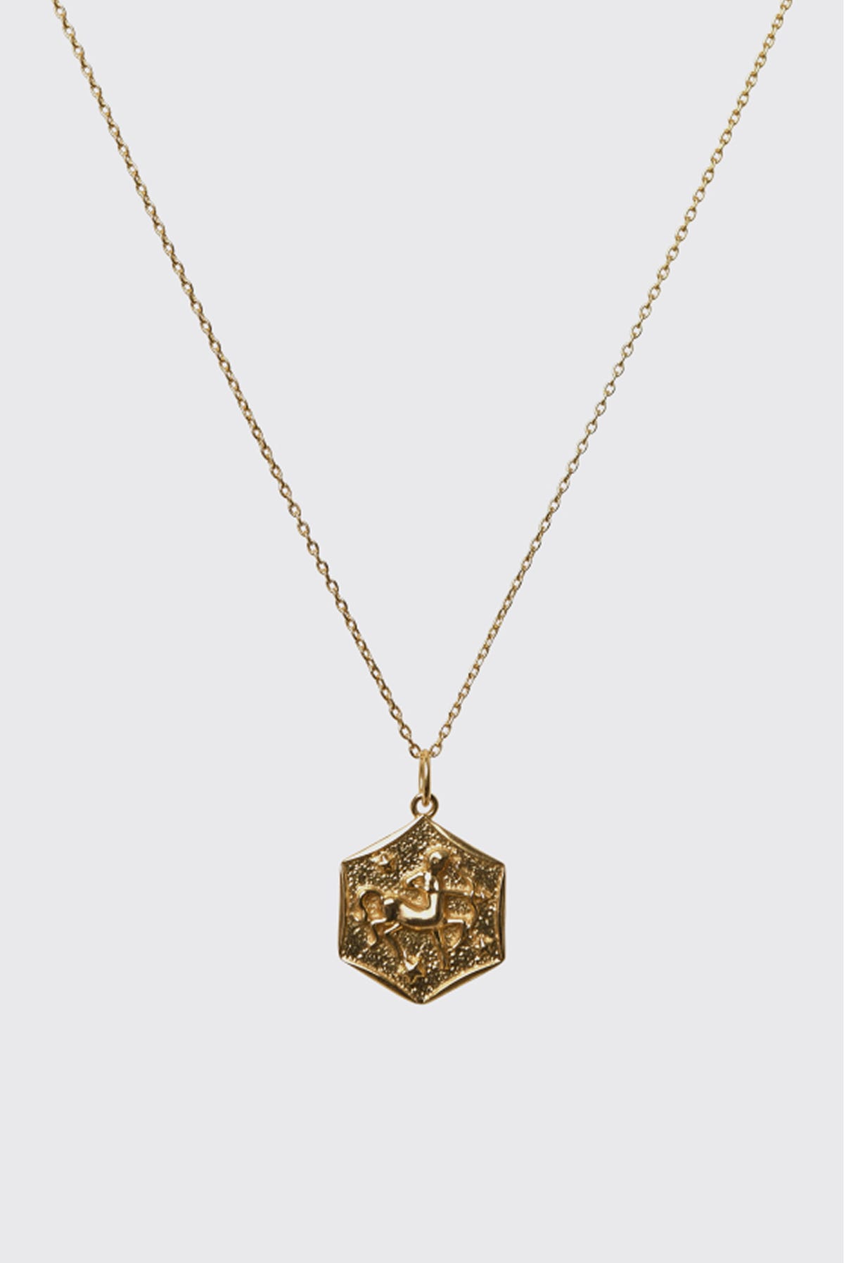 Zodiac - Aries features a gold vermeil fine chain and a hexagonal pendant with a raised, detailed design. Centered on a plain light background, this timeless necklace makes the perfect addition to any zodiac jewelry collection.
